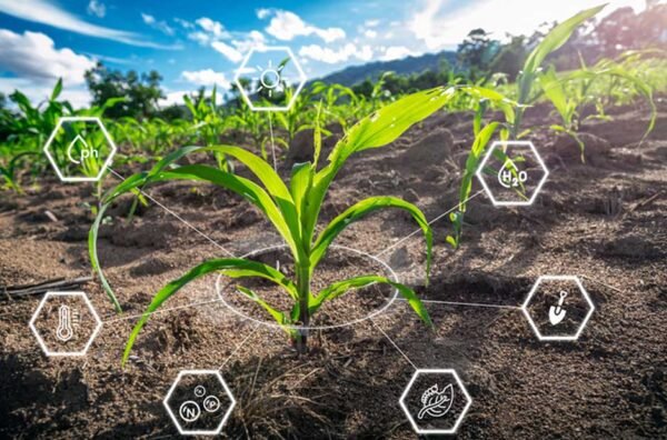 Sustainable Technology Smart Farming