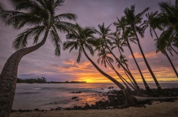 Watch the Sun Set on Hawaii