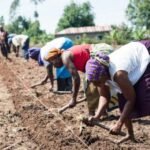 6 Innovations in Sustainable Farming