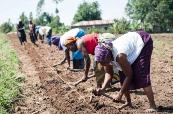 6 Innovations in Sustainable Farming