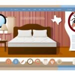 Essential Advice for Travelers and Residents