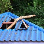 Broken roof from branch