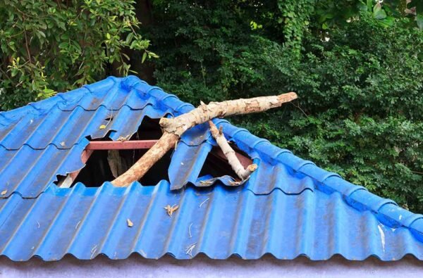 Broken roof from branch