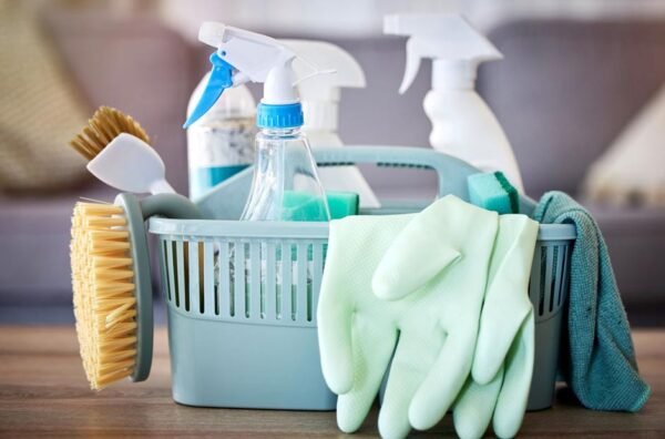 Investing in Expert Cleaning for Your Home