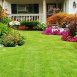 Landscaping Maintenance Services and Their Benefits