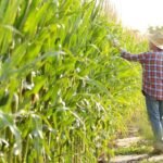 Safer Work Environment on Your Farm