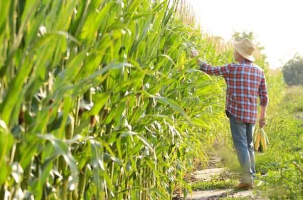 Safer Work Environment on Your Farm