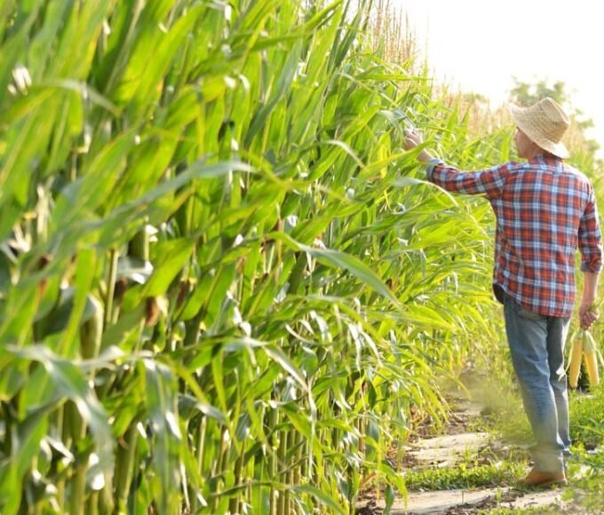 Safer Work Environment on Your Farm