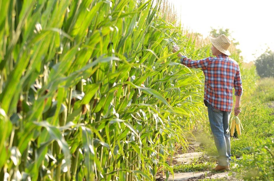 Safer Work Environment on Your Farm