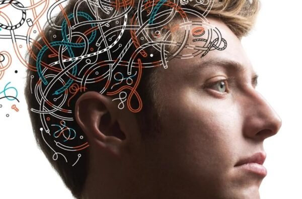 The Art and Science of Developing Young Brains