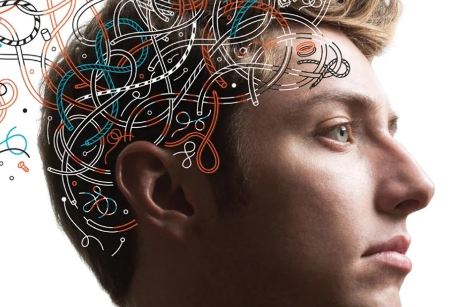 The Art and Science of Developing Young Brains