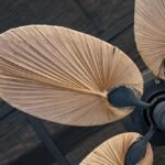 The Ultimate Guide to Choosing the Perfect Modern Ceiling Fan for Your Space