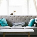 Enhancing Your Home Environment