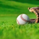 History Of Artificial Grass