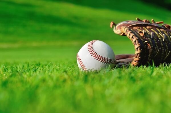 History Of Artificial Grass