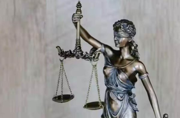 Legal Advocacy in Society