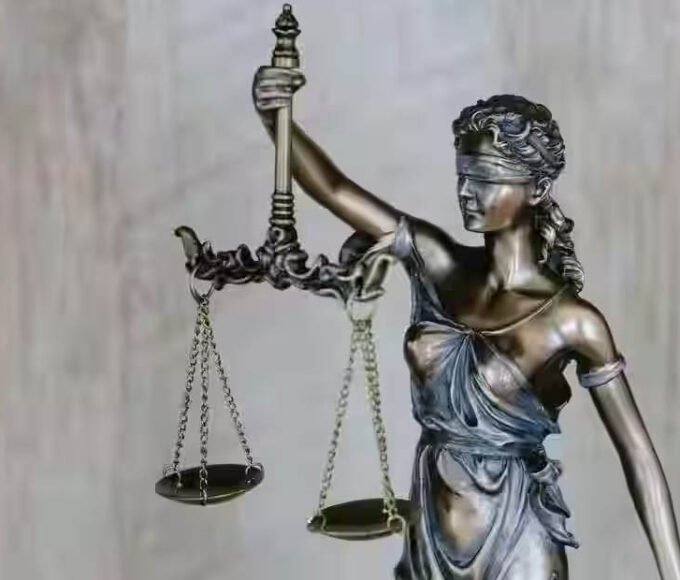 Legal Advocacy in Society