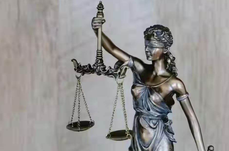 Legal Advocacy in Society