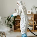 The Dangers of Delaying Emergency Pest Removal for Rodent Infestations
