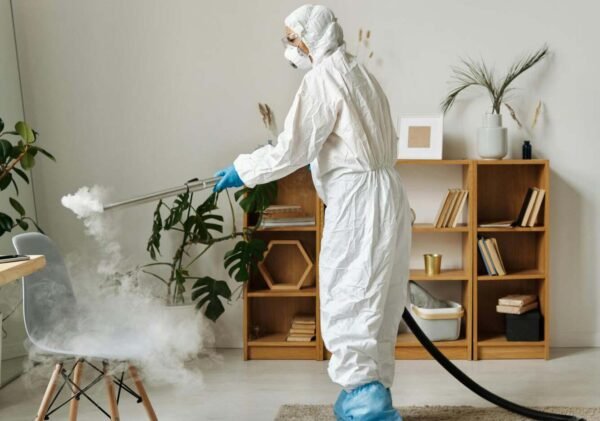 The Dangers of Delaying Emergency Pest Removal for Rodent Infestations