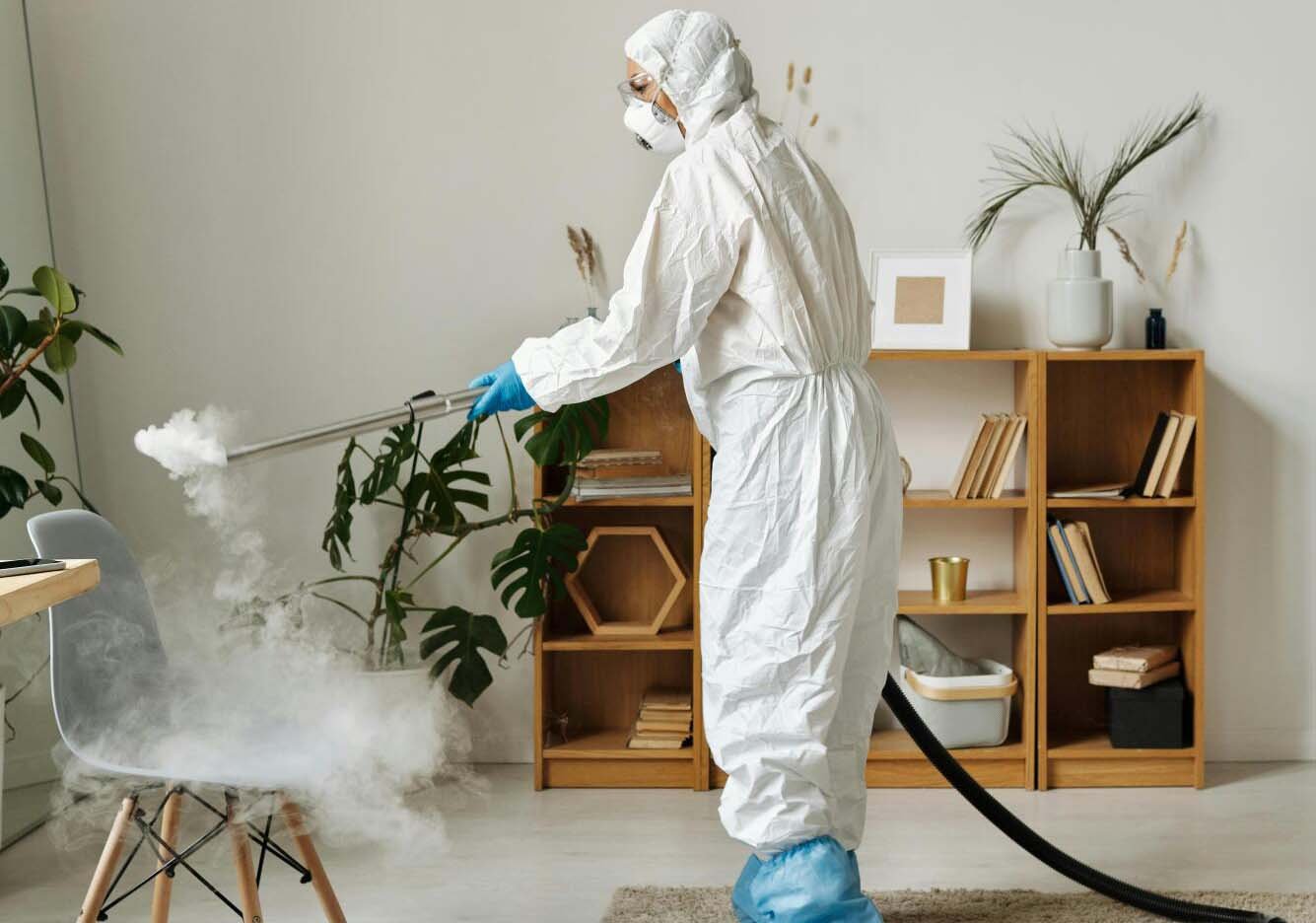 The Dangers of Delaying Emergency Pest Removal for Rodent Infestations