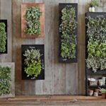 Vertical Gardens