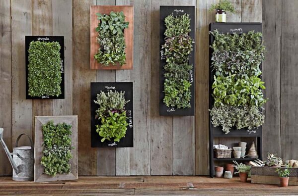 Vertical Gardens