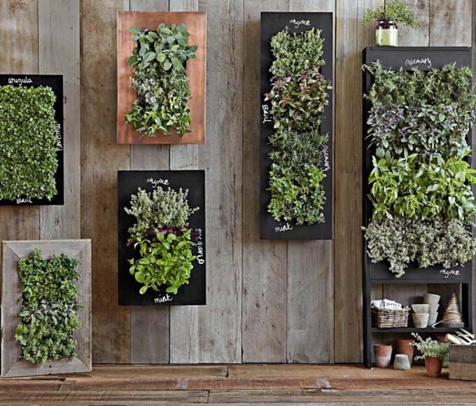 Vertical Gardens