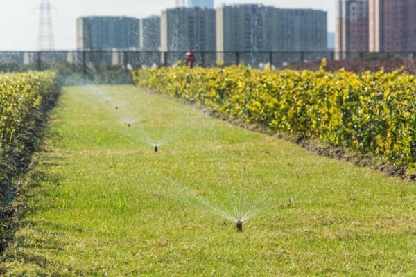 5 Common Mistakes to Avoid When Installing an Irrigation System
