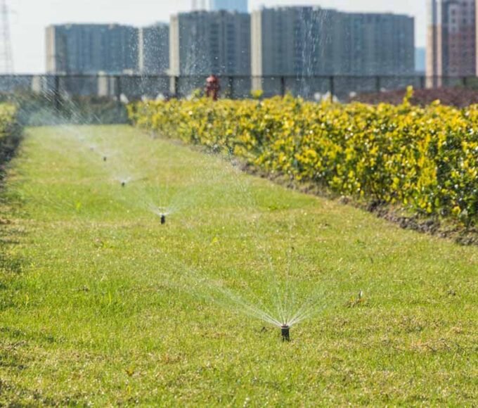 5 Common Mistakes to Avoid When Installing an Irrigation System