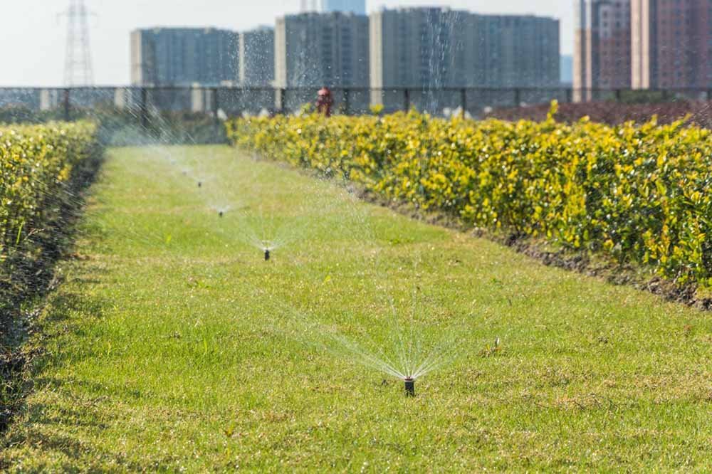 5 Common Mistakes to Avoid When Installing an Irrigation System