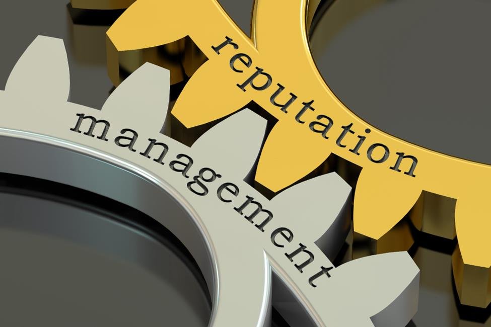 Reputation-Building Insights for Small Enterprises