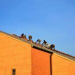 Understanding the Process of Commercial Roof Replacement