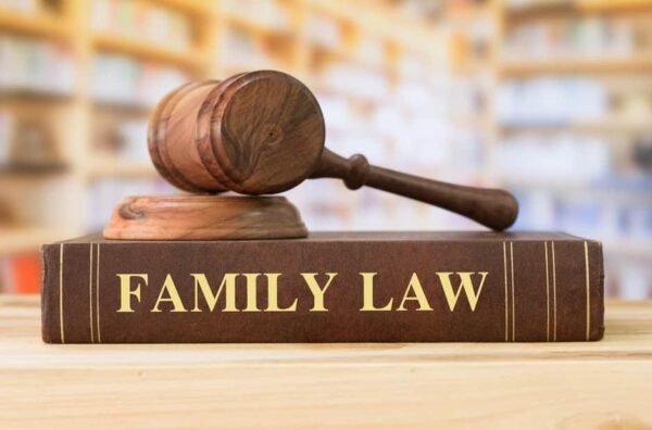 A Family Lawyer