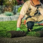 Hiring a Professional Landscaper