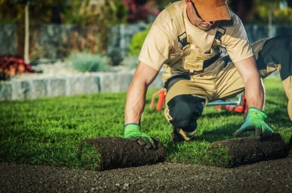 Hiring a Professional Landscaper