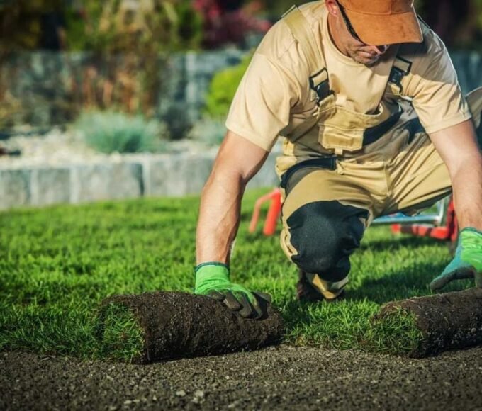 Hiring a Professional Landscaper