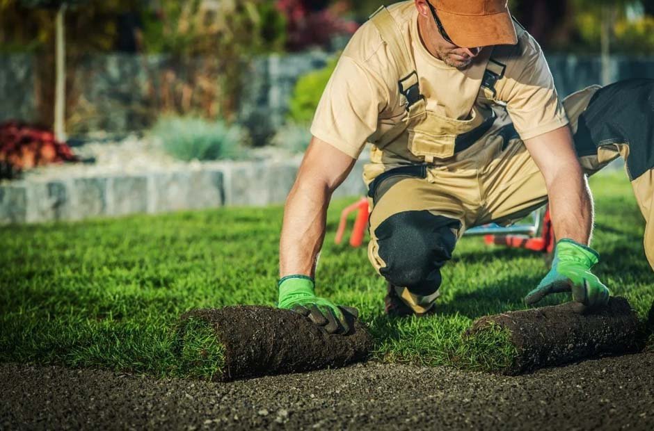 Hiring a Professional Landscaper