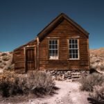 The Importance of Regular Mold Testing for Wood Houses