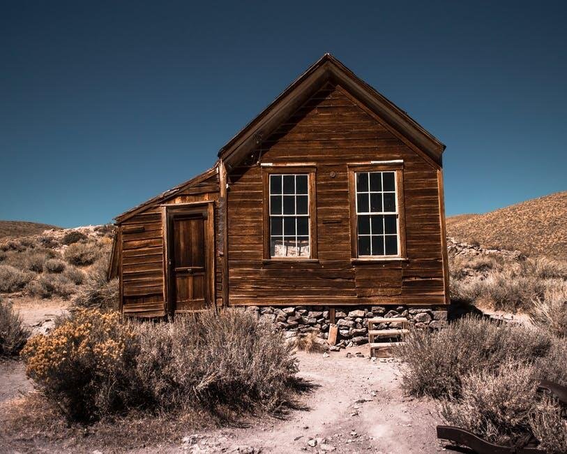 The Importance of Regular Mold Testing for Wood Houses