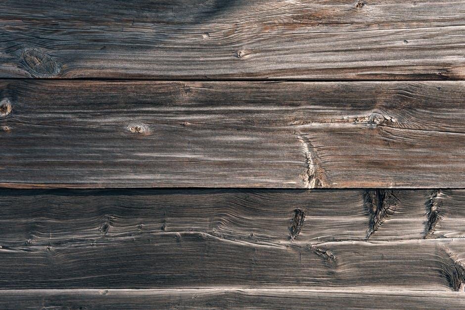 What to Expect During a Water Damage Inspection