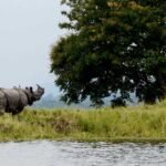city of Kaziranga