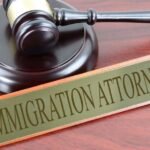 5 Ways Immigration Lawyers