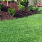 Regular Landscaping for business