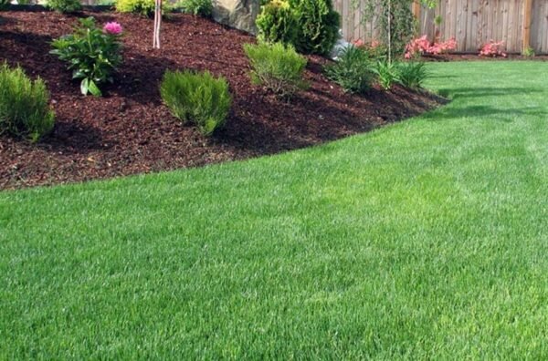 Regular Landscaping for business