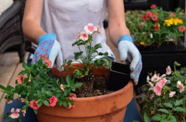 The Perfect Planters: What to Look for In Your Plant Pot Providers