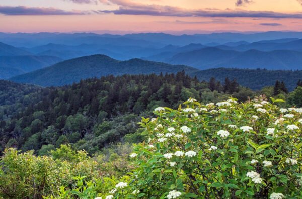 Trip to the Great Smoky Mountains