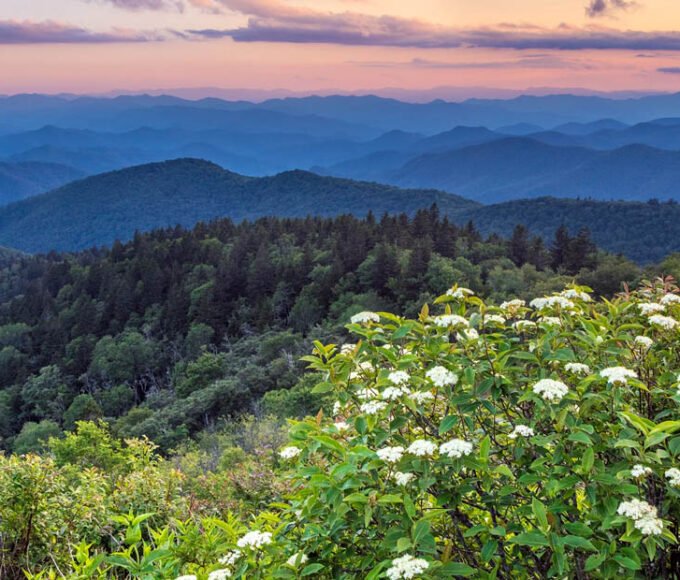 Trip to the Great Smoky Mountains