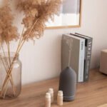Right Essential Oil for a Diffuser to Create the Perfect Home Ambiance