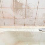 Prevent Pink Mould in the Shower